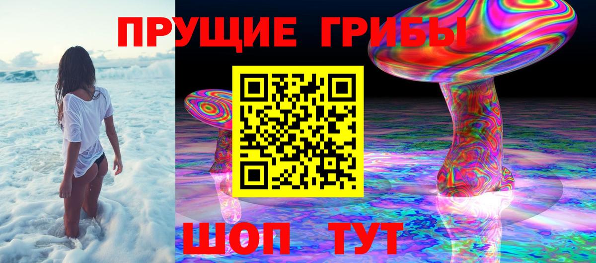 Берёзовский  Псилоцибиновые грибы Cubensis  Вход с VPN 
