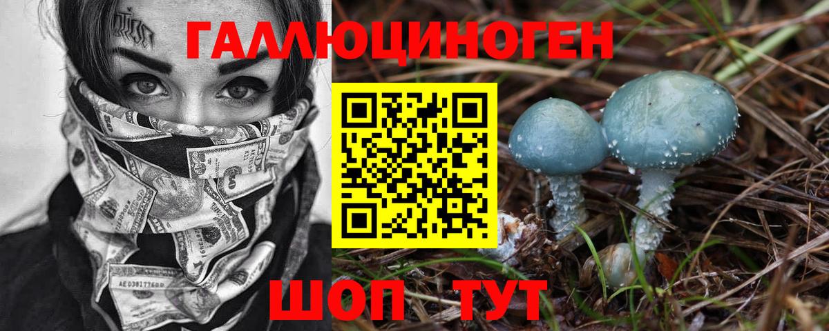 Псилоцибиновые грибы Cubensis Берёзовский